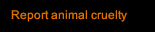 Report animal cruelty